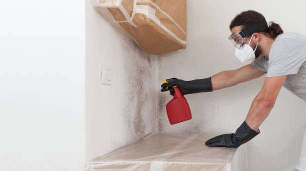 Professional Mold Remediation technician working in McMillin, WA