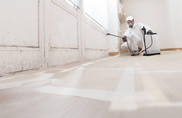 24/7 Emergency Mold Remediation experts in McMillin, WA