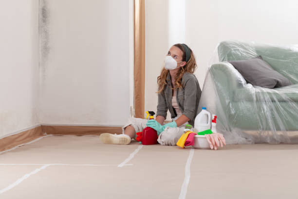 Reliable Mold Remediation contractor in McMillin, WA by 24 Hour Mold Removal
