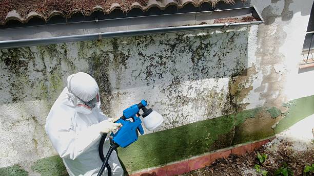 Top rated local Mold Remediation specialists in McMillin, WA